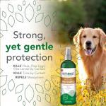 Vet's Best Natural Flea and Tick Spray for Dogs