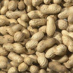 Trusty Pet Supplies Monkey Nuts for Birds 2kg