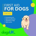 First Aid Kit for Dogs - Essential Health Care