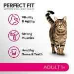 Perfect Fit Cat Dry Food with Chicken, 7kg