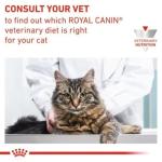 Royal Canin Urinary S/O Cat Gravy Pouches