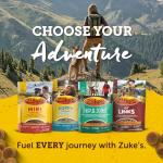 Zuke's Mini Naturals Peanut Butter Dog Treats 16 oz