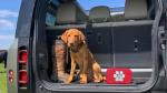 Complete Pet First Aid Kit with 70+ Items