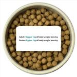 Burns Hypoallergenic Chicken & Rice Dog Food 12kg