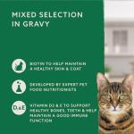 Complete Gravy Wet Food for Adult Cats, 48 Pouches