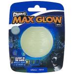 Glow in the Dark Dog Ball Toy