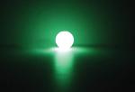 Glow in the Dark Dog Ball Toy