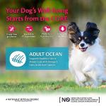 Wellness CORE Small Breed Grain-Free Salmon & Tuna