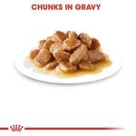 Royal Canin Mini Adult Gravy Dog Food 85g