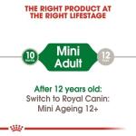 Royal Canin Mini Adult Gravy Dog Food 85g