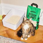 KatKin Eco-Friendly Clumping Cat Litter 4.5kg
