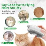 Rechargeable Pet Steam Brush for Cats and Dogs