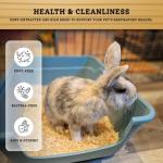 Premium Kiln-Dried Wood Shavings for Small Pets