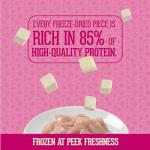 Freeze-Dried Chicken Cat Treats - 2 Pack