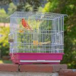 Giusy Bird Cage with Accessories for Small Birds