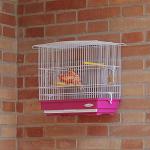 Giusy Bird Cage with Accessories for Small Birds