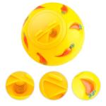 Pet Treat Dispensing Ball Toy for Small Animals