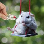 Stainless Steel Bird Food Holder Clip Set