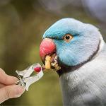 Stainless Steel Bird Food Holder Clip Set