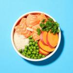 Pooch & Mutt Grain-Free Salmon Sweet Potato Dog Food