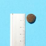 Pooch & Mutt Grain-Free Salmon Sweet Potato Dog Food