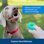 PetSafe Clik-R Dog Training Clicker - Teal
