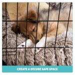 Small Dog Crate with Dual Doors and Tray