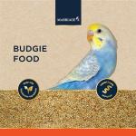 Nutritious Budgie Food with Millet and Protein