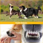 6 Pack Plush Squeaky Dog Toys for Puppies