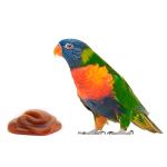 Lorifeed Nectar for Loris - 500g Natural Formula