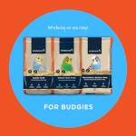Nutritious Budgie Food with Millet and Protein