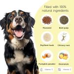Scooch Anal Gland Dog Supplement - Tasty Chews