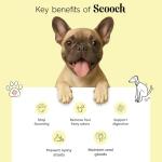 Scooch Anal Gland Dog Supplement - Tasty Chews