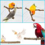 9 PCS Natural Wood Bird Perches Set