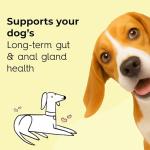 Scooch Anal Gland Dog Supplement - Tasty Chews