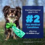 Glandex Pet Grooming Wipes for Dogs and Cats