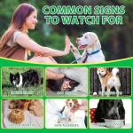 Dog Probiotic Chews for Gut Health and Allergies