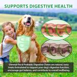 Dog Probiotic Chews for Gut Health and Allergies