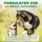 Dog Probiotic Chews for Gut Health and Allergies