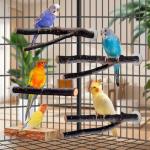 Multi-Branch Wooden Perch Toy for Birds