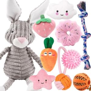 10 Pack Plush Squeaky Dog Toys for Puppies