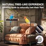 Multi-Branch Wooden Perch Toy for Birds