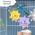 Colorful Interactive Bird Toys for Parakeets (2pcs)