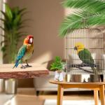 Multi-Branch Wooden Perch Toy for Birds