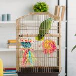 Parrot Chew Toys and Hanging Bird Accessories