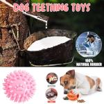 10 Pack Plush Squeaky Dog Toys for Puppies