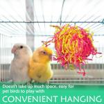 Parrot Chew Toys and Hanging Bird Accessories