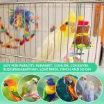Parrot Chew Toys and Hanging Bird Accessories