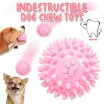10 Pack Plush Squeaky Dog Toys for Puppies