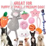 10 Pack Plush Squeaky Dog Toys for Puppies